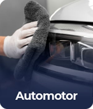 modulo automotor
