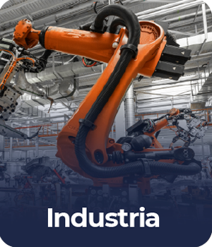 modulo industria